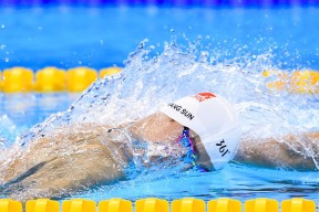 米兰体育官方网址入口-乒乓球世界排名更新，中国队占据前列，乒乓球世界排名如何